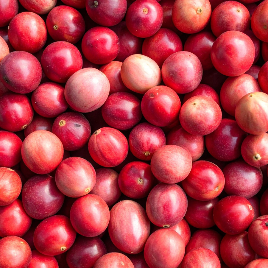 <h5>Cranberry Fruit</h5>