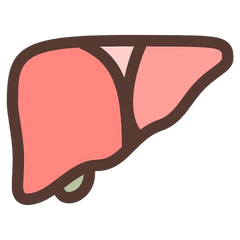 Liver Tags used estrogen for disposal.