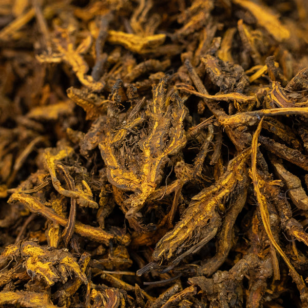 Coptis Chinensis (5% Berberine)