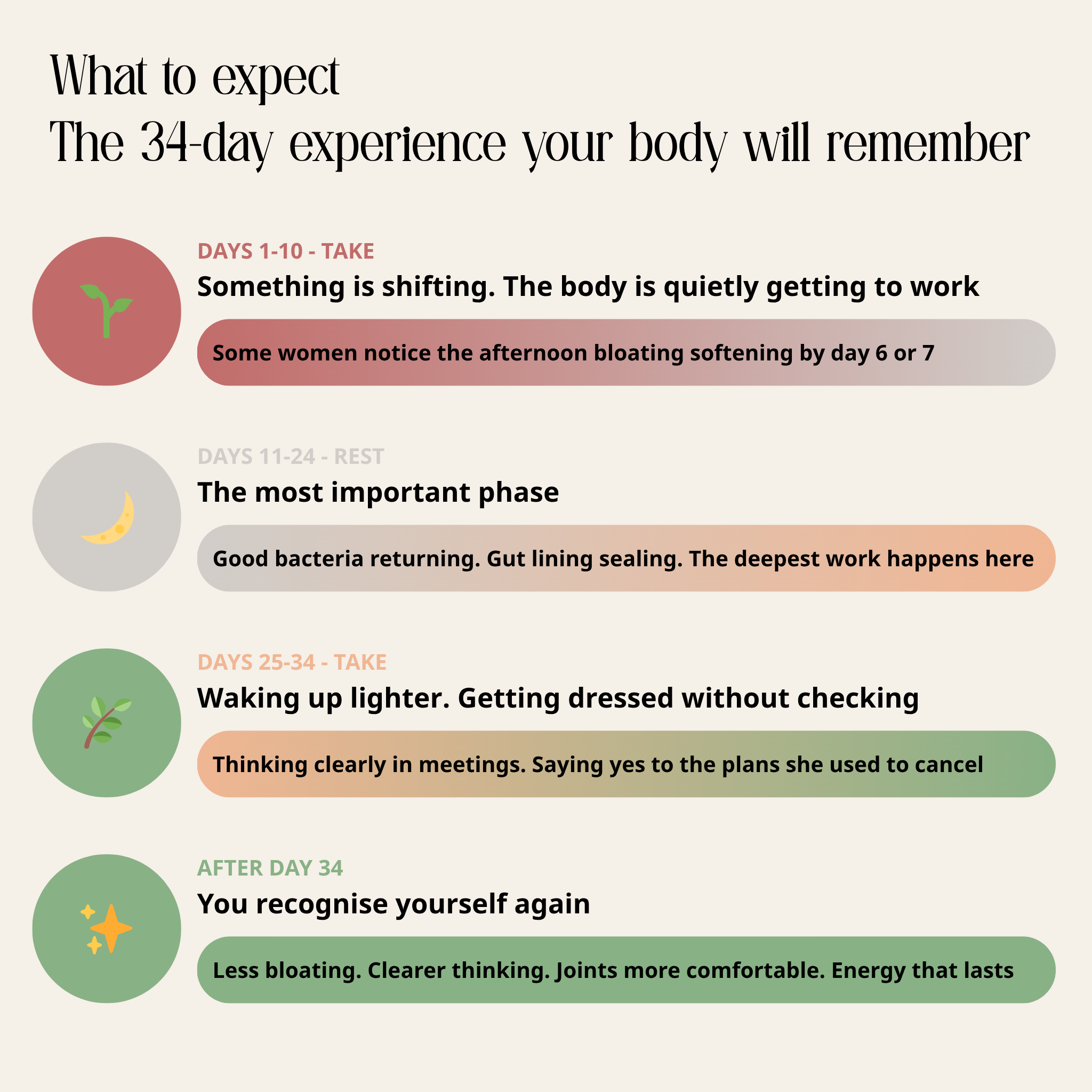 Wake Up To Your Energy, Your Clarity, Your Body - In 34 Days.